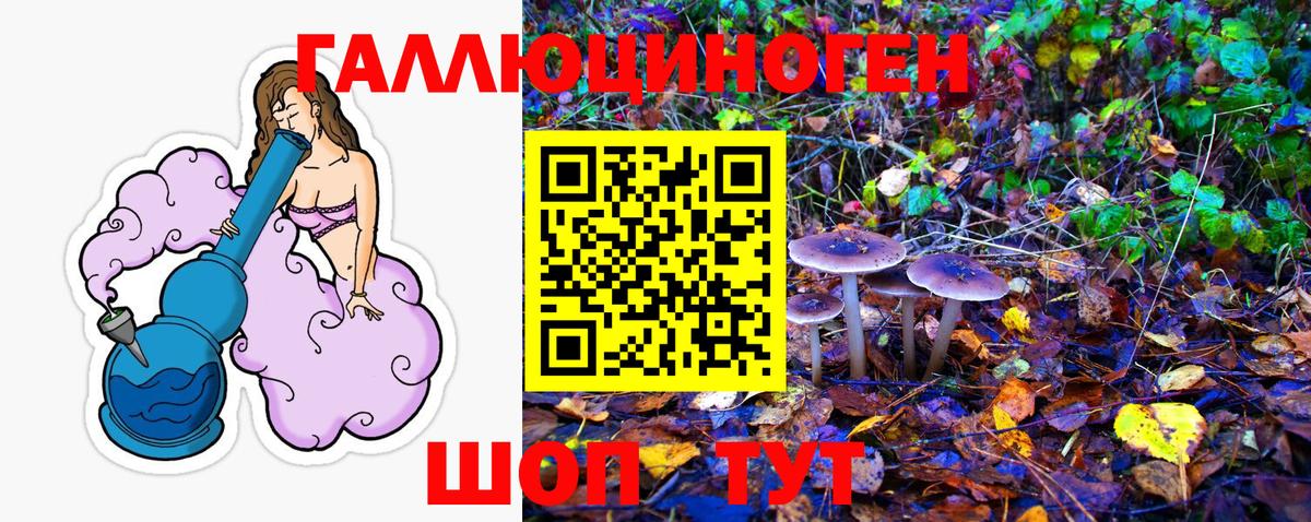 Галлюциногенные грибы Cubensis Грозный
